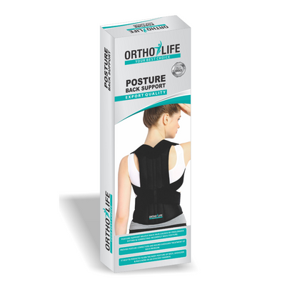 Ortholife Posture Back Support