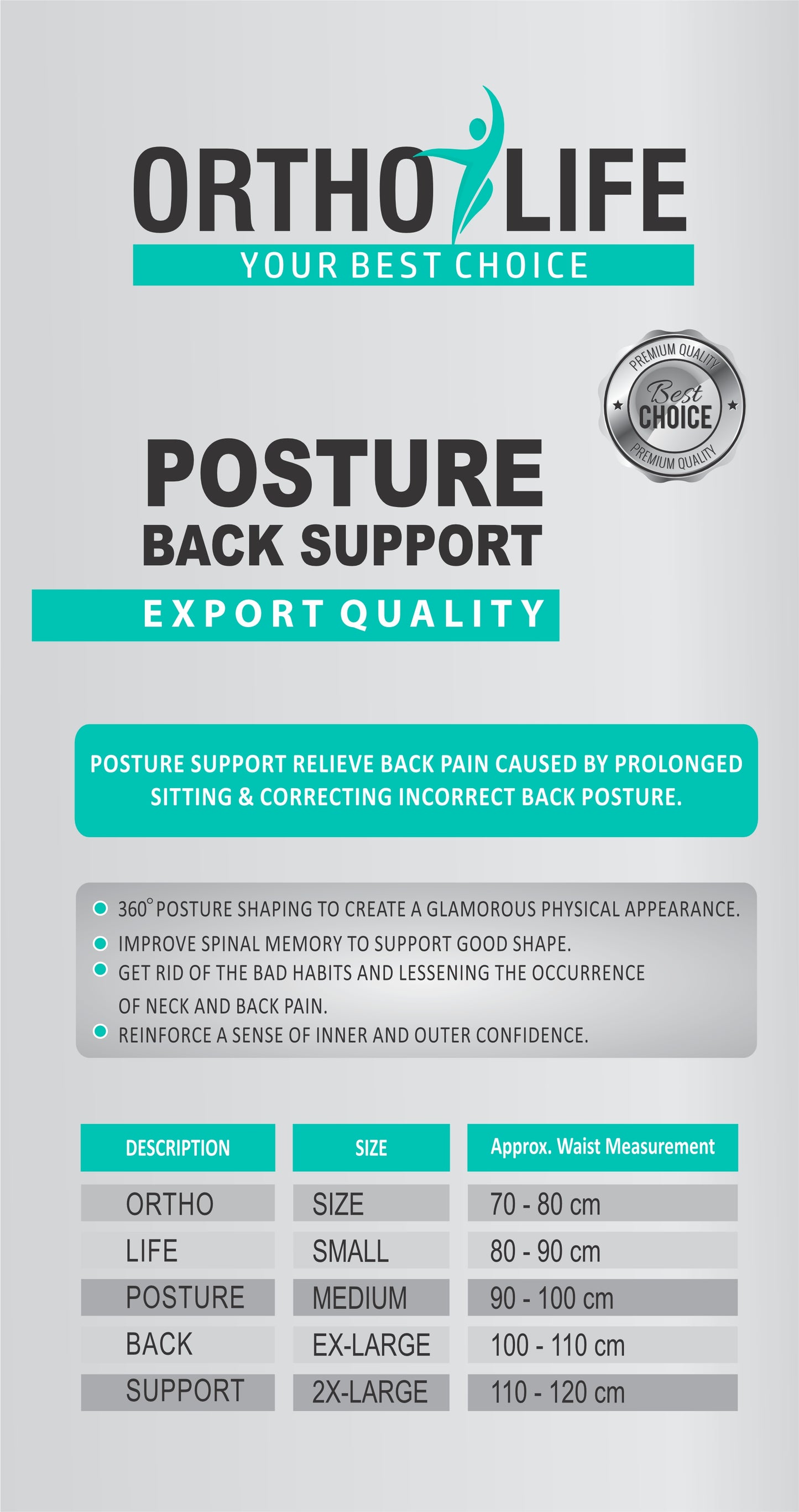 Ortholife Posture Back Support